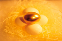 Golden Success